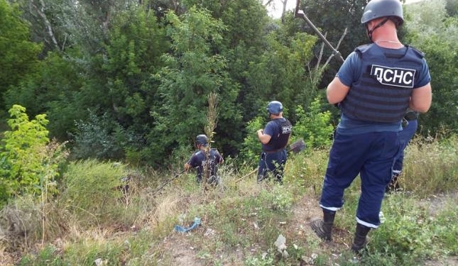 ГСЧС завершила разминирование вокруг моста в Станице Луганской