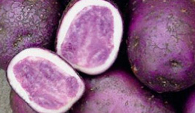 В Украине стали выращивать разноцветный картофель