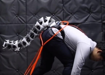 Вперед в прошлое. Ученые создали робохвост для человека. Говорят, очень нужен (ВИДЕО)