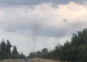 На Запорожье засняли необычный “смерч” из насекомых