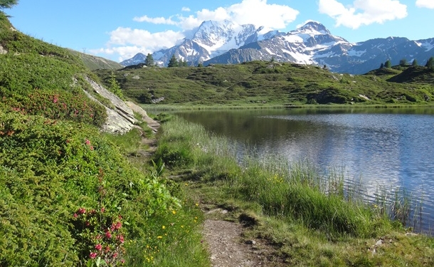 В Швейцарии самолет разбился на альпийском перевале