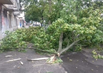 В Николаеве ураганный ветер валит деревья, а общественный транспорт меняет маршруты (ФОТО) – ОБНОВЛЯЕТСЯ