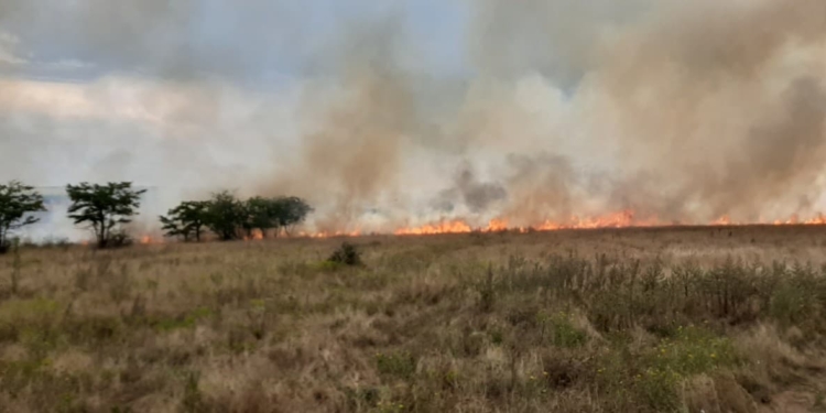 За вчерашний день на Николаевщине произошло 6 пожаров на открытых территориях (ФОТО)