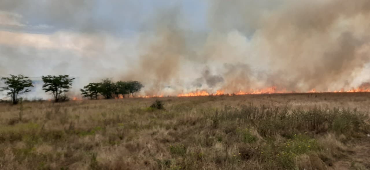За вчерашний день на Николаевщине произошло 6 пожаров на открытых территориях (ФОТО)
