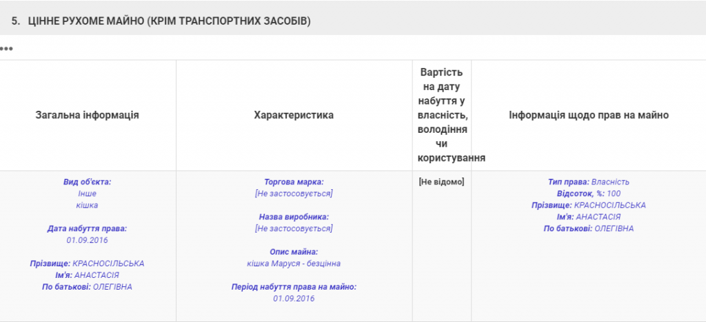 Будущая нардеп от "Слуги народа" и главная антикоррупционер в Раде внесла в декларацию "бесценную" кошку 3