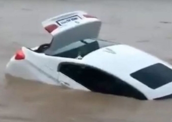 Индиец утопил подаренный родителями BMW, потому что хотел Jaguar (ВИДЕО)