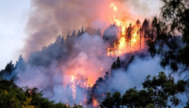 Из-за лесных пожаров на Канарах перекрывают дороги, восемь тысяч эвакуированных (ВИДЕО) 1