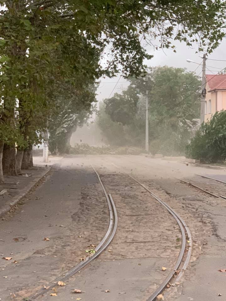 В Николаеве ураганный ветер валит деревья, а общественный транспорт меняет маршруты (ФОТО) - ОБНОВЛЯЕТСЯ 7