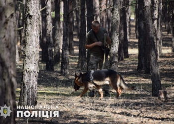 Разыскать пропавшую в лесу 12-летнюю девочку помог Барон из Николаева (ФОТО)