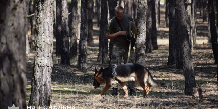 Разыскать пропавшую в лесу 12-летнюю девочку помог Барон из Николаева (ФОТО)