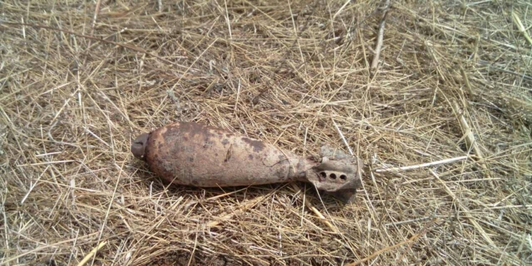 В Кандыбино нашли старую минометную мину (ФОТО)