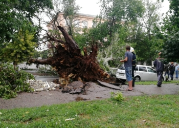 Массовое падение деревьев и поврежденные крыши. Спасатели Николаевщины уже 20 раз приходили на помощь гражданам (ФОТО)