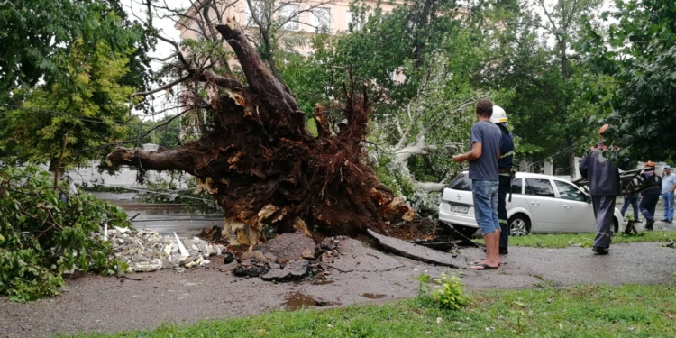Массовое падение деревьев и поврежденные крыши. Спасатели Николаевщины уже 20 раз приходили на помощь гражданам (ФОТО)