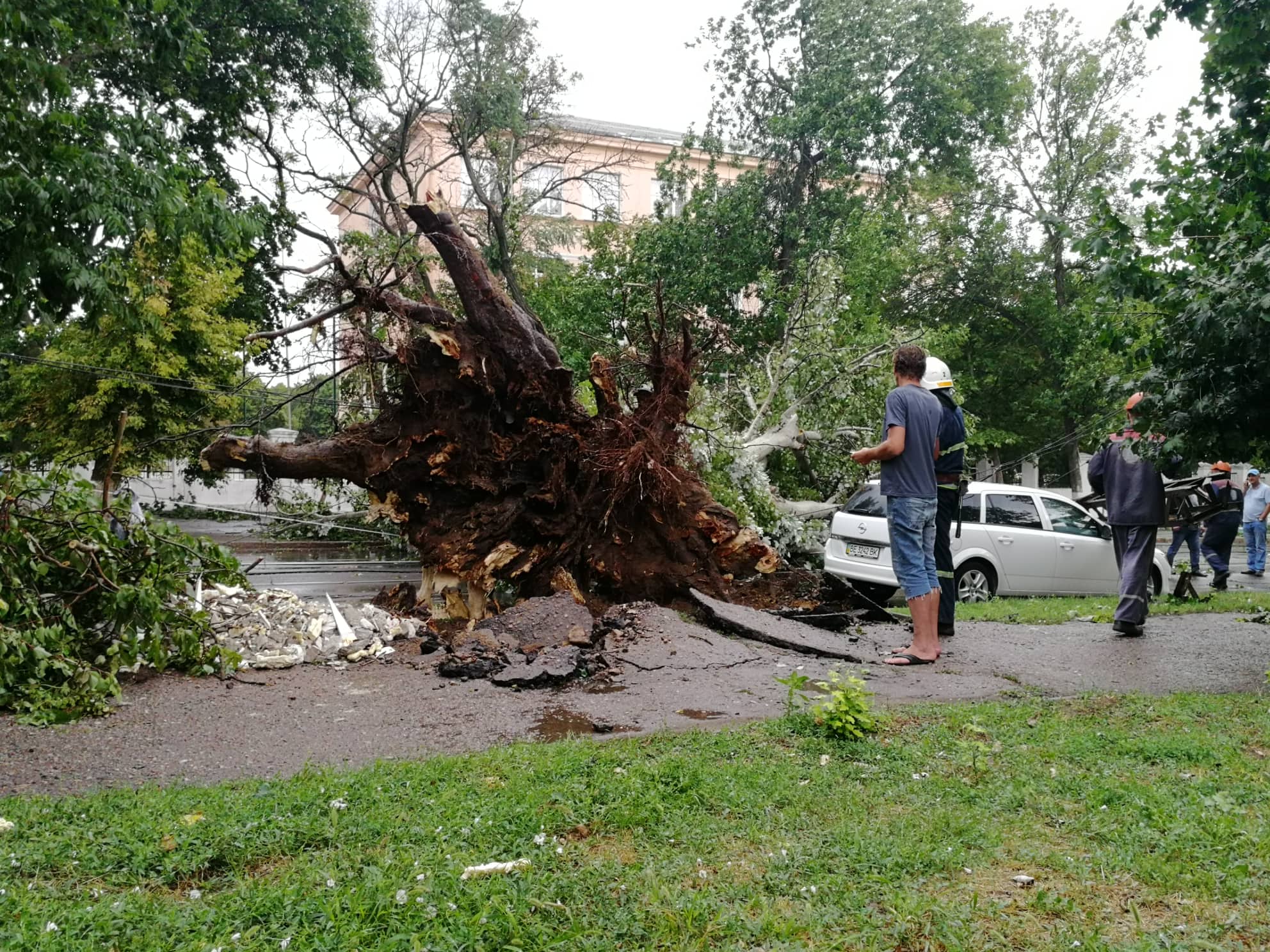 Массовое падение деревьев и поврежденные крыши. Спасатели Николаевщины уже 20 раз приходили на помощь гражданам (ФОТО)