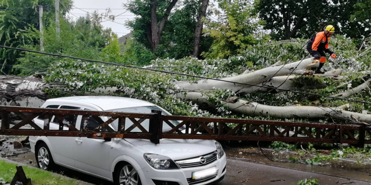 Массовое падение деревьев и поврежденные крыши. Спасатели Николаевщины уже 20 раз приходили на помощь гражданам (ФОТО)