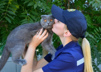 Николаевские спасатели поздравили котиков