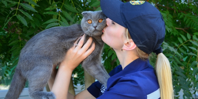 Николаевские спасатели поздравили котиков