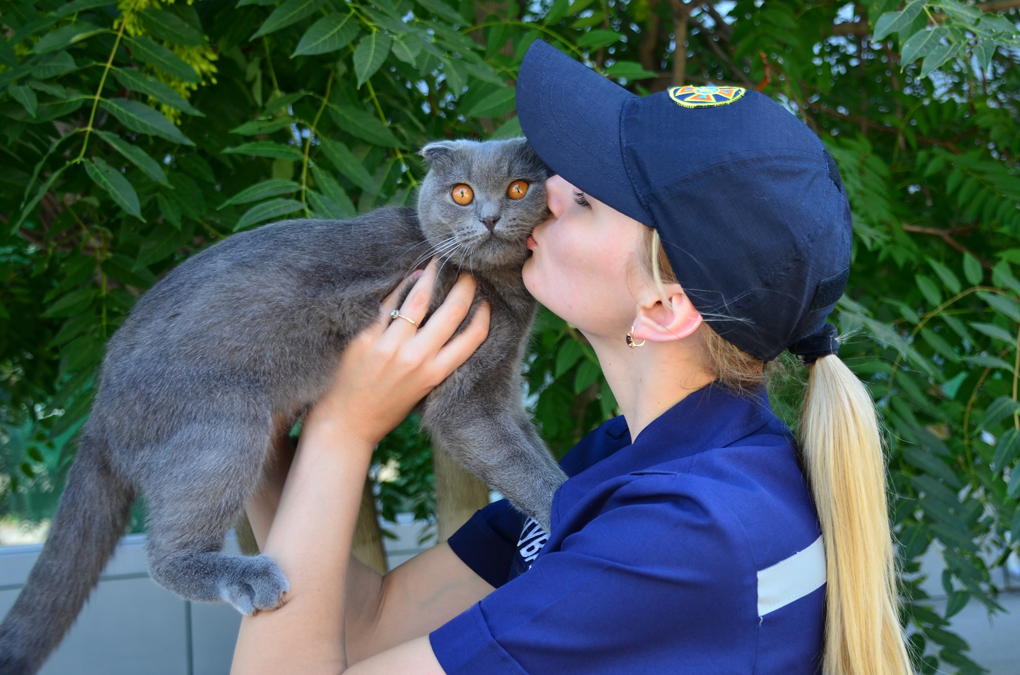 Николаевские спасатели поздравили котиков