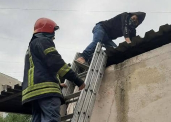 В Николаеве спасателям пришлось выручать подростка, который не мог спуститься с крыши (ФОТО)