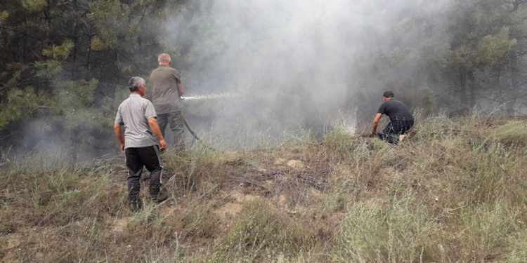 В Вознесенском районе подожгли лес. Тушили все (ФОТО)