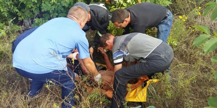 На Николаевщине подростка ударило током – он ради фото залез на электроопору (ФОТО, ВИДЕО)