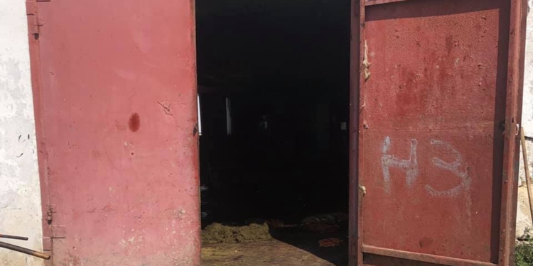 Активисты заявили о трех  нелегальных бойнях в околицах Николаева (ФОТО)