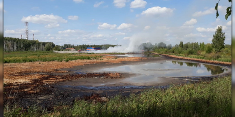 В РФ горит полигон химических отходов (ФОТО, ВИДЕО)