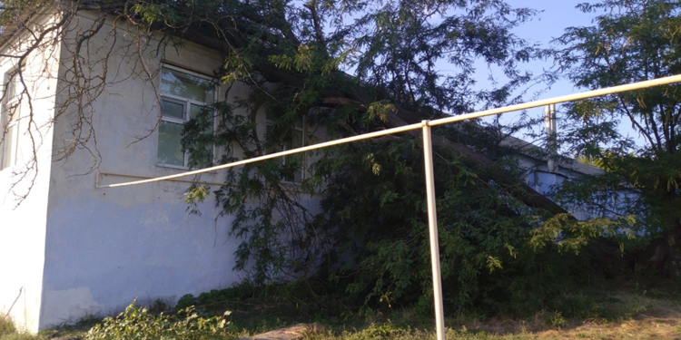 В Новой Одессе на центр соцобслуживания упали два дерева (ФОТО)