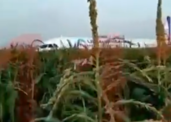 Самолет на Симферополь совершил жесткую посадку в Подмосковье (ВИДЕО)