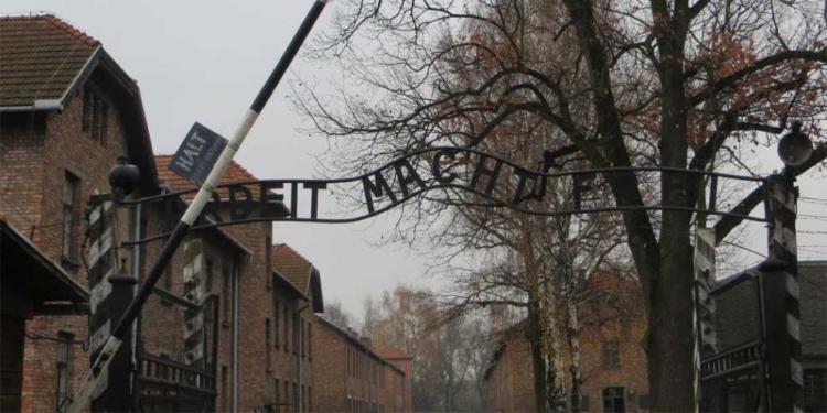 На аукцион в Израиле выставлены документы о прекращении массовых убийств в Освенциме и Бухенвальде