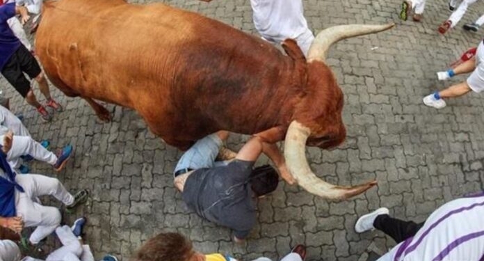 В Испании на фестивале бык насмерть заколол мужчину (ВИДЕО)