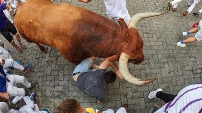 В Испании на фестивале бык насмерть заколол мужчину (ВИДЕО) 1