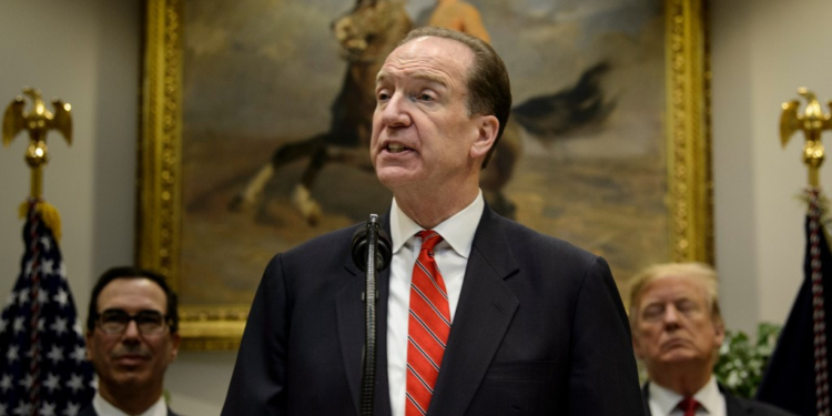 Земли много – толку мало. Президент Всемирного банка оценил намерения Зеленского провести земельную реформу