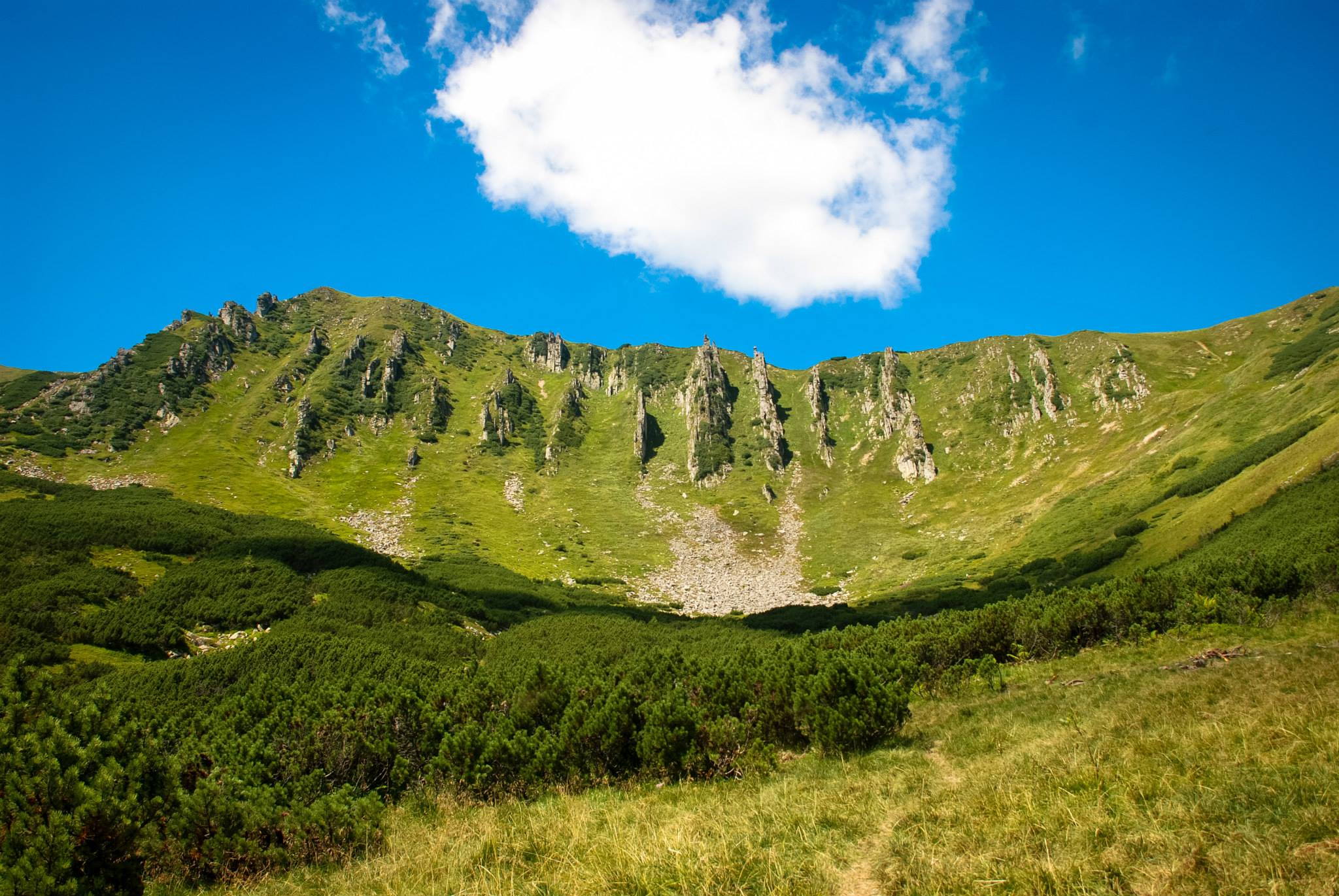 «Приключения» николаевцев в Карпатах: одной туристке стало плохо, а группа из 3 женщин и 4 детей заблудилась