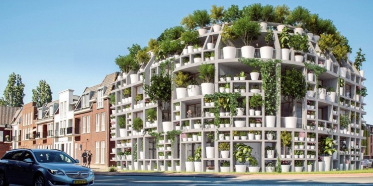 В Нидерландах построят жилой дом со стенами из комнатных растений