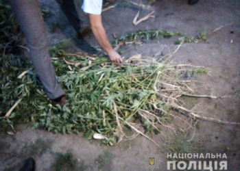 Усугубил. На Николаевщине владелец наркоплантации набросился на полицейского во время обыска (ФОТО)