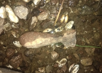 Ржавая, но опасная. На берег Южного Буга вода вынесла старую мину (ФОТО)