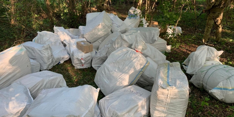 В Харьковской области пограничники со стрельбой остановили контрабандистов