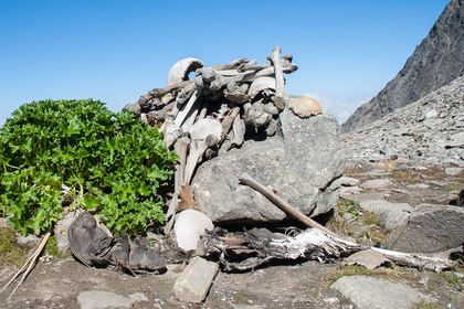 Ученые бьются над тайной “Озера Скелетов” в Гималаях
