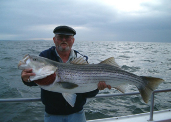 Одна, но настойчивая рыба добилась закрытия трех пляжей на испанском курорте