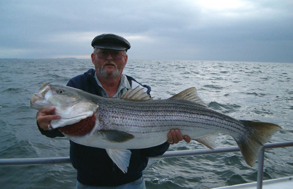 Одна, но настойчивая рыба добилась закрытия трех пляжей на испанском курорте