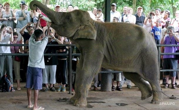 Пробный шар: Шри-Ланка на полгода ввела безвиз, в том числе и для украинцев