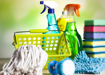 Все 26 помещений налоговой службы Николаевщины будет убирать хмельницкая предпринимательница