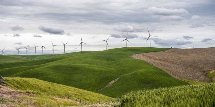 10 лет назад в США не было ни одной большой ветротурбины. А теперь энергия ветра стала дешевле природного газа
