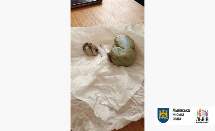 Во Львове школьник попал камнем в представителя польского консульства 1