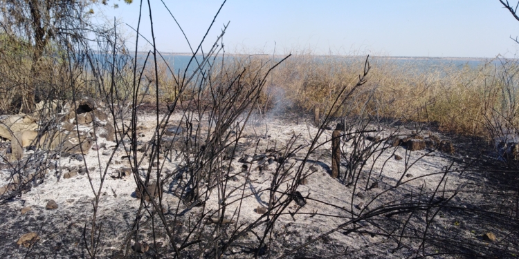 На Николаевщине за сутки выгорело 23 га открытой территории