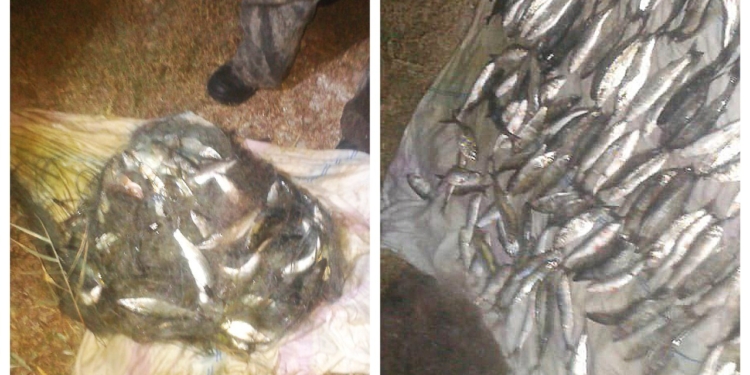 В Очаковском районе Николаевский рыбоохранный патруль поймал браконьера с 10 кг незаконно добытой рыбы (ФОТО)