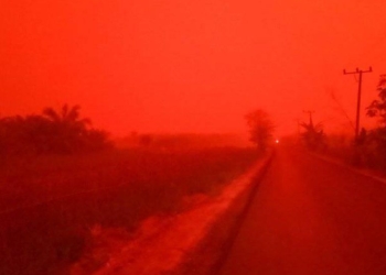Это не Марс, это Индонезия: из-за лесных пожаров небо стало красным (ВИДЕО)
