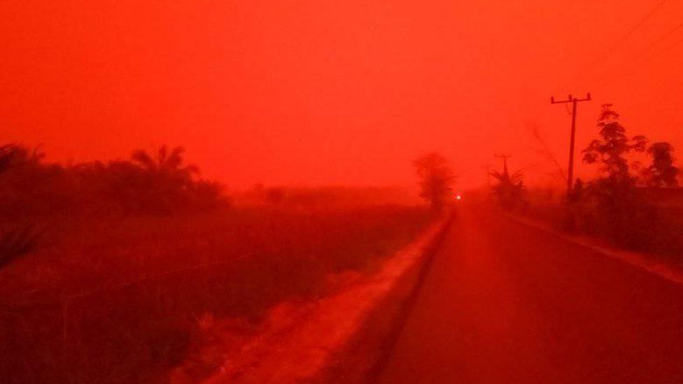 Это не Марс, это Индонезия: из-за лесных пожаров небо стало красным (ВИДЕО) 1