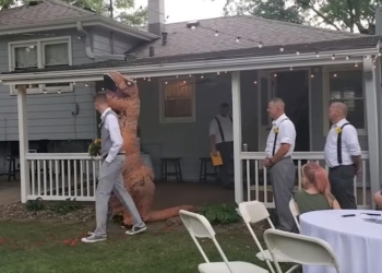 В США подружка невесты пришла на свадьбу в костюме тираннозавра (ВИДЕО)